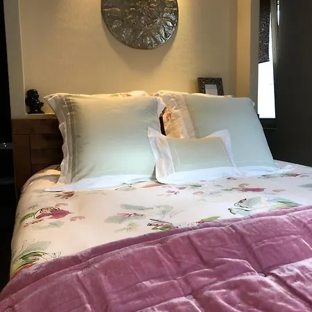 Café Cher-mignon Et D'hôtes 3* Chermignon-d'en Haut