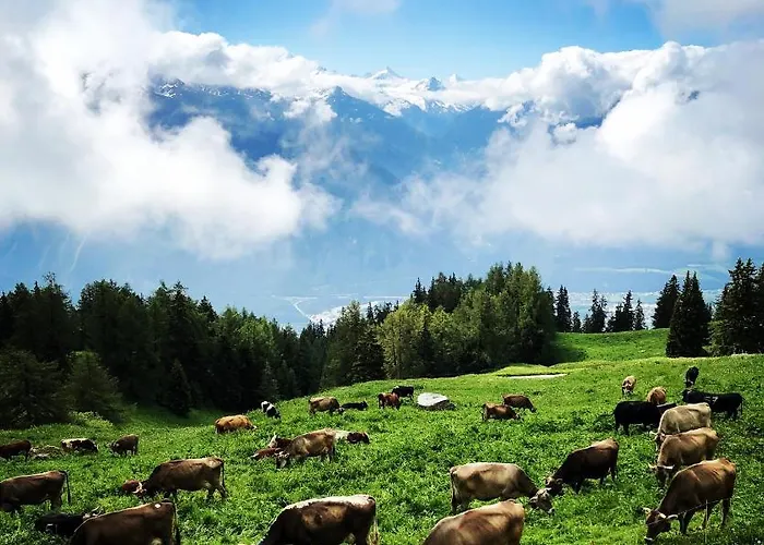 Cafe Cher-mignon Et D'hotes B&B Chermignon-d'en Haut