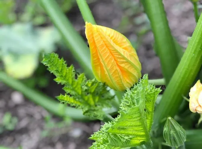 B&B Cafe Cher-mignon Et D'hotes 3*