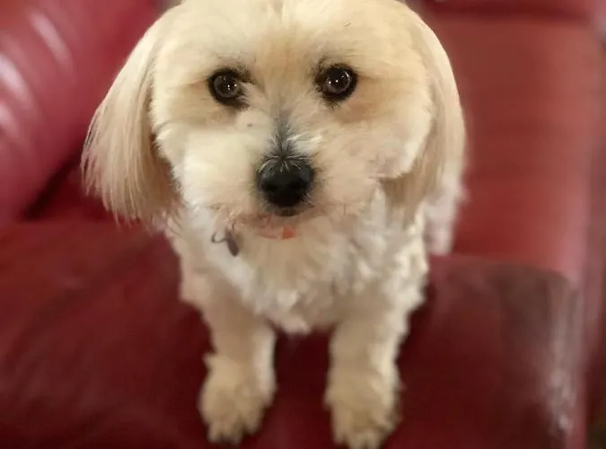 Cafe Cher-mignon Et D'hotes