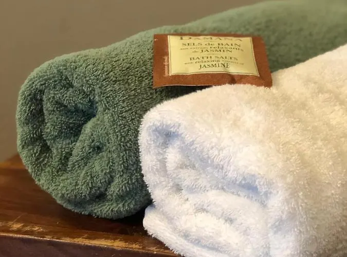 Cafe Cher-mignon Et D'hotes 3* Chermignon-d'en Haut