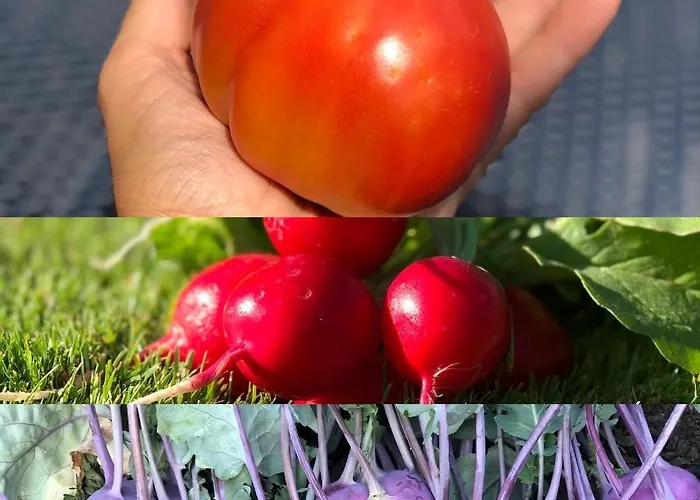 Cafe Cher-mignon Et D'hotes B&B 3*