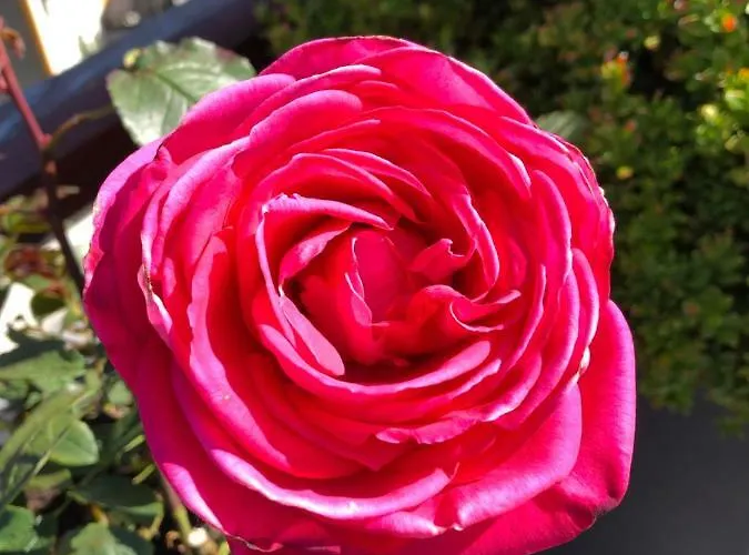 Cafe Cher-mignon Et D'hotes 3* Chermignon-d'en Haut