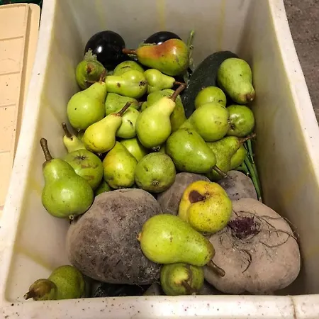 Cafe Cher-mignon Et D'hotes 3* Chermignon-d'en Haut