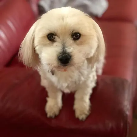 Cafe Cher-mignon Et D'hotes