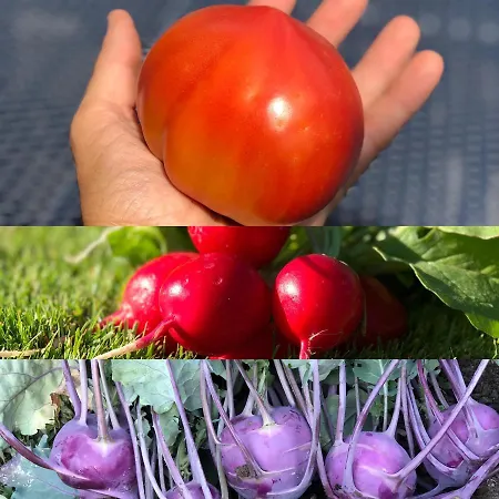 Cafe Cher-mignon Et D'hotes Отель типа 