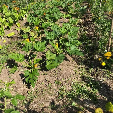 Cafe Cher-mignon Et D'hotes 3*