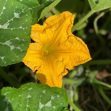 Cafe Cher-mignon Et D'hotes 3* Chermignon-d'en Haut