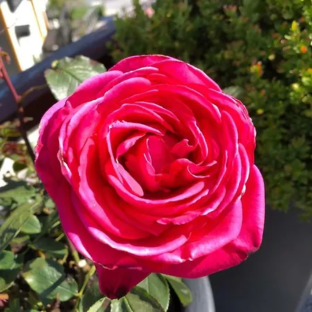 Cafe Cher-mignon Et D'hotes 3* Chermignon-d'en Haut