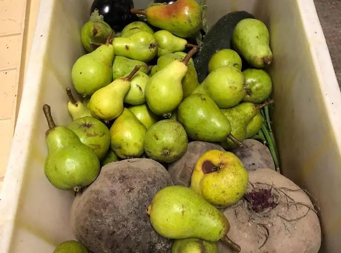 Café Cher-mignon Et D'hôtes 3* Chermignon-d'en Haut